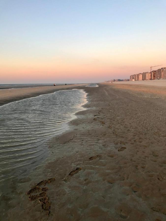 Happy Stay By Anais - 20M To Beach De Panne Εξωτερικό φωτογραφία